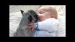 WARNING - Cuteness Overload - Cute Dogs Kissing Babies Compilation