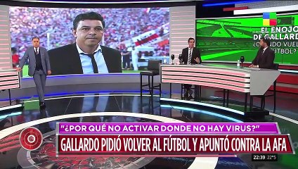 Gallardo pidió volver al fútbol y apuntó contra la AFA