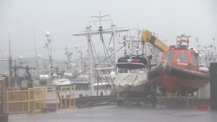 [날씨] 충북부 흐리지만 자외선↑...남해안·제주도 호우 / YTN