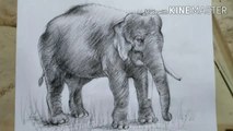 Elephant painting | How to draw Elephant | charcoal pencil Shading | step by step For beginners