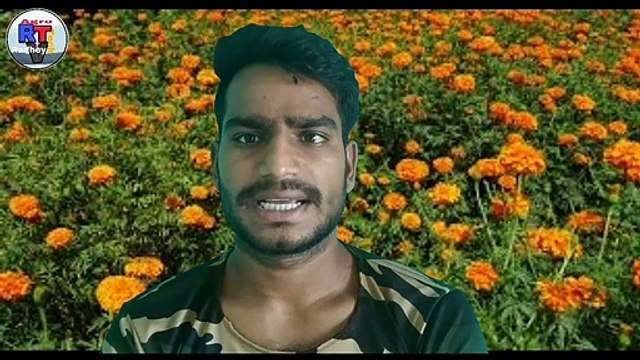 How to do Pinching of Marigold plant || How to do get more flowers in marigold follow pinching practice || Pinching of Marigold plant || Marigold pinching || marigold  mein pinching kaise karen  || Marigold pinching