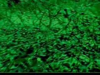 The Truth About Shadows(Trailer)