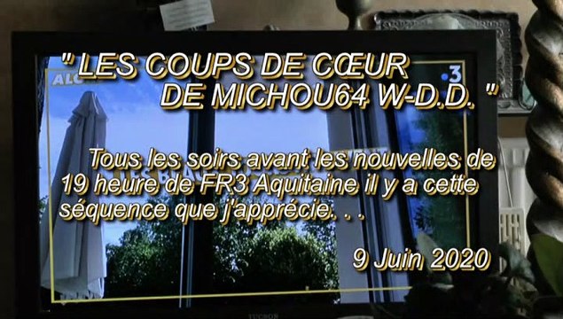 LES COUPS DE CŒUR DE MICHOU64 W-D.D. - 9-10 JUIN 2020 - PAU - SUR SON ÉCRAN DE T.V. AVANT LES NOUVELLES DU 19-20 DE FR3 À REGARDER ALORS