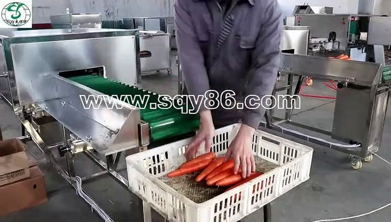 SS 304 Carrot Head and Root Cutting and Removing Machine Manufacturer