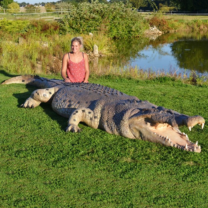 10 animaux géants qu'il ne vaut mieux pas croiser