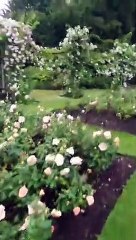 Andrew Eborn's WIDE AWAKE CLUB - Live in Regent's Park 18 06 2020