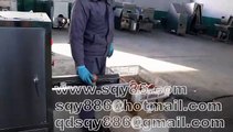 304 Stainless Steel “Simulated hands” One Belt Onion Skin Peeling and Root Cutting Machine Manufacturer
