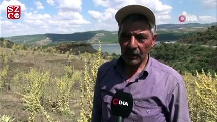 12 bin yıllık ayak izlerinin gönüllü koruyucusu