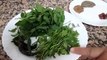 How to Make Pudena Chatni | Pudina Chutney Recipe | Pudina Chutney Recipe in Urdu / Hindi