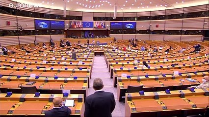 Video: Deutsche EU-Abgeordnete wirft belgischen Polizisten Gewalt vor