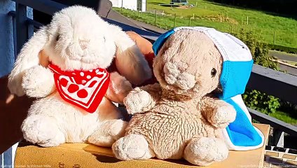 Hasen TV - Badekappe im Schwimmbad und See - Die coolen Hasen - Hasi und Schnuffi - Spaß im Sommer - Wer trägt heute noch eine Badkappe?