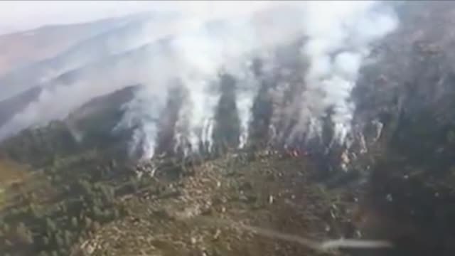 Detenido el presunto autor del incendio forestal del Parque Nacional del Guadarrama