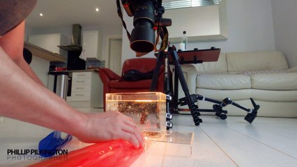 Colourful, abstract still life photography taken at home