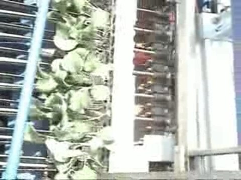 trapiantatrice automatica omia tel 0883 331038