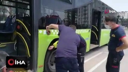 Halk otobüsünden 2 metrelik yılan çıktı!