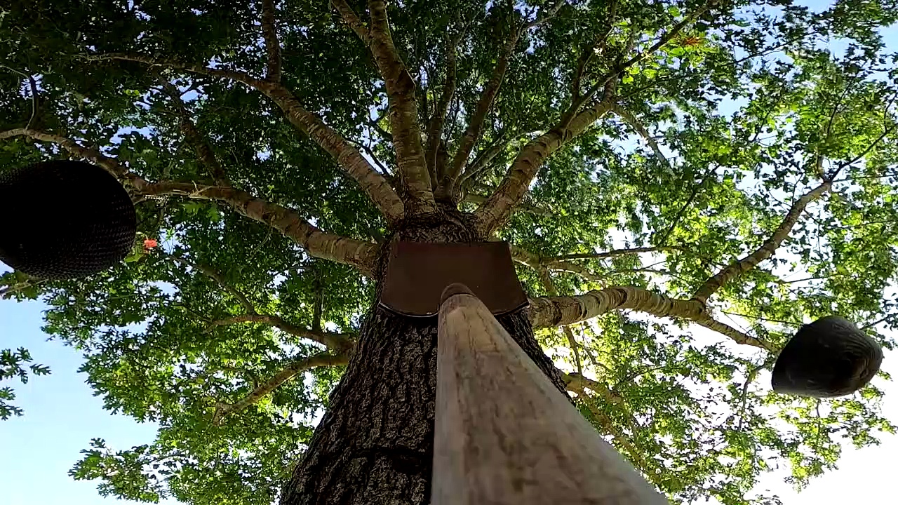 Technology  Gadgets Innovations and skills