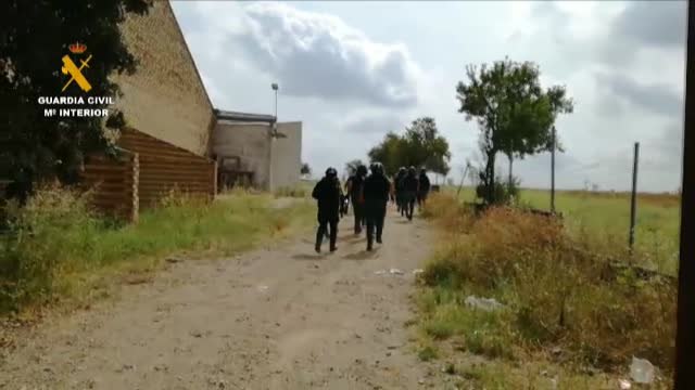 Guardia Civil aprehende 34.800 kilos de picadura de tabaco de contrabando