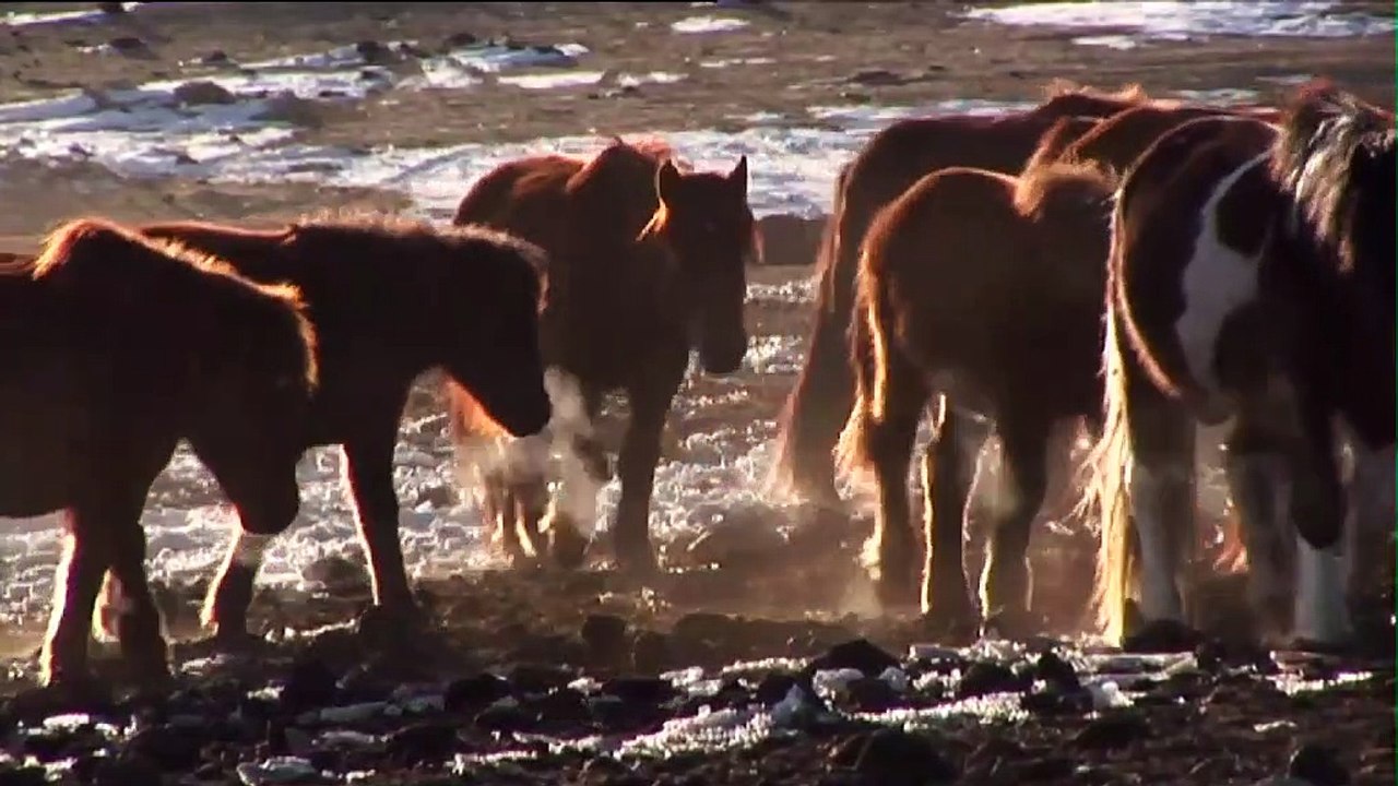 Terres d'échanges : voyage équitable