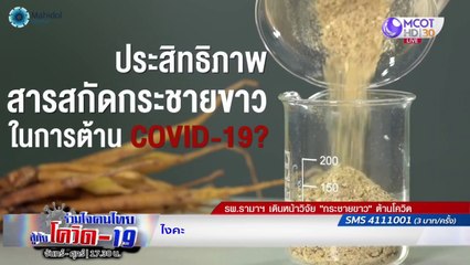 "กระชายขาว" สมุนไพรต้านโควิด-19 | รายการ "ร่วมใจคนไทยสู้ภัยโควิด-19” (18 มิ.ย.63)