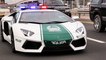 L’unité spéciale automobile de la police de Dubaï