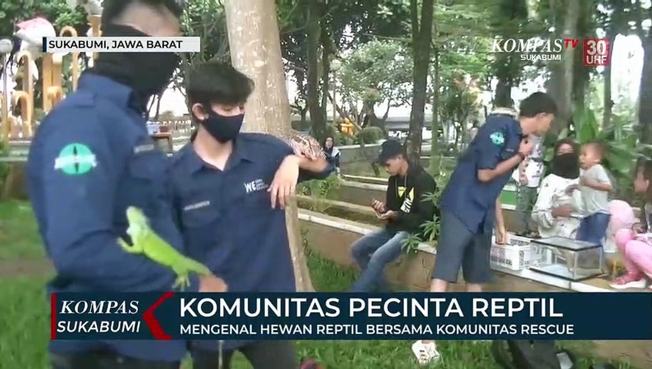 Mengenal Hewan Reptil