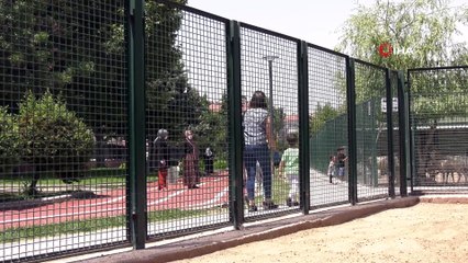 İlk kez kuluçka süresini tamamlayan bir flamingo yavrusunu Başkent’te dünyaya gözlerini açtı