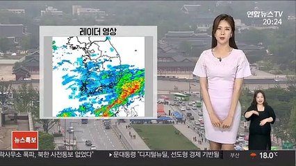 [날씨] 내일 오후, 내륙 곳곳 소나기…돌풍·벼락 동반
