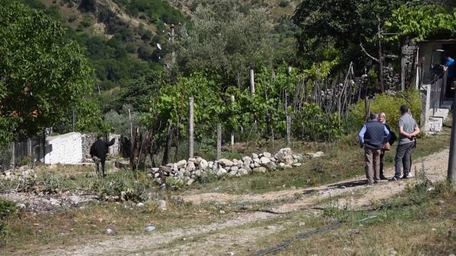 Ora News - Vrau fqinjin për pelën, autori shfaq pendesë: Meritoj burg deri në fund të jetës