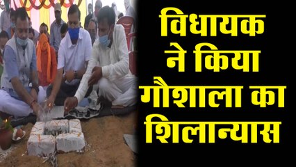 विधायक ने किया गौशाला का शिलान्यास