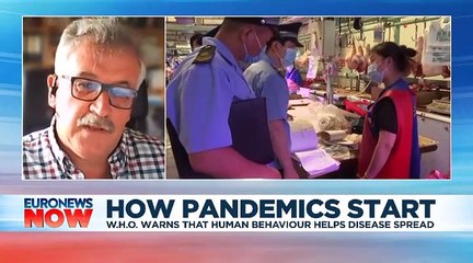 Destruction of nature is 'driver of pandemics', says WWF