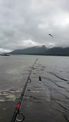 Fish Smarter, Not Harder