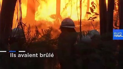 Portugal : poussés à l'exil par les incendies dus au changement climatique
