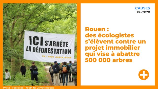 Rouen : des écologistes s’élèvent contre un projet immobilier qui vise à abattre 500000 arbres