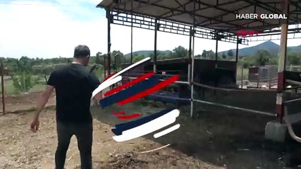 Haluk Levent'ten Ferdinand ve Duygu'ya ziyaret