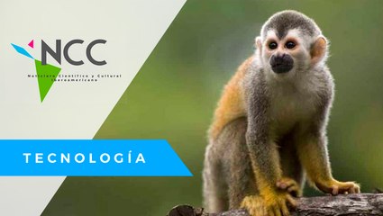 El Zoo­ló­gi­co de Qui­to en­fren­ta un enor­me reto al no re­ci­bir apo­yo del go­bierno ecua­to­riano