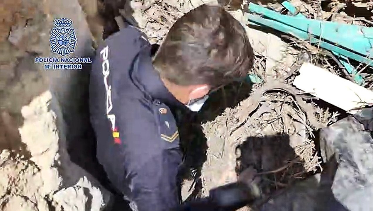 Amenaza de muerte a un policía con una catana y le descubren un cultivo de marihuana en una cueva