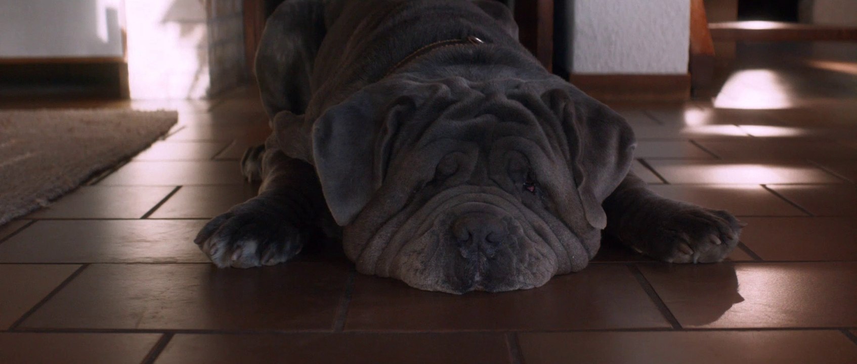 Buenos principios - Tráiler VOSE