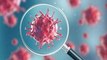 Coronavirus: 13 years ago scientists tried to warn us!