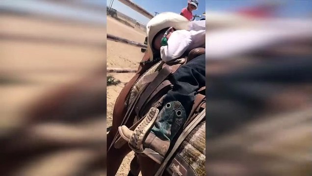 Real Life Rocking Horse Rocks Little Cowboy to Sleep