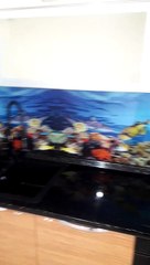 3d tezgah arası cam İstanbul montaj cam mutfak istanbultezgaharasicam.com