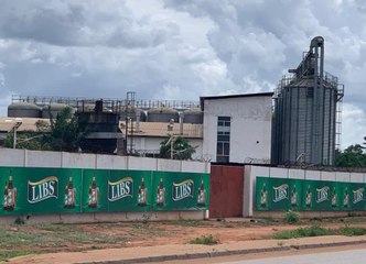 La bière LIBS de retour: nouvel emballage, goût raffiné