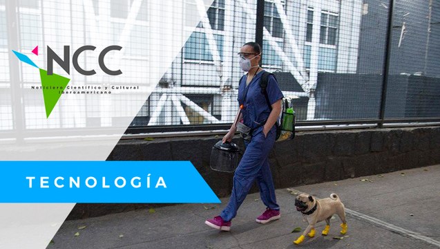 Co­no­ce a Har­ley, el pe­rro te­ra­peu­ta que ali­via el es­trés de los mé­di­cos me­xi­ca­nos que lu­chan con­tra el co­ro­na­vi­rus