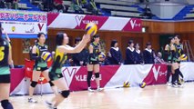 Cute female volleyball Japanese player 可愛い女子パレー　日本人選手5.11.8