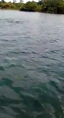 Pobladores de Puerto Barrios graban a pescadores usando el trasmallo