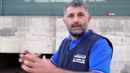 - Sürü sele kapıldı, 30 büyükbaş hayvan telef oldu