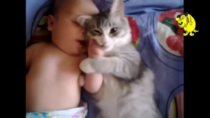 VIDEOS VIRALES DE ANIMALES GRACIOSOS