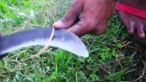Catch Big Fish _ Unique Fishing _ Fishing with Teta _ Best Fish Hunting Video