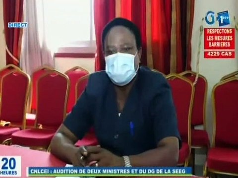 RTG / Audition de deux ministres et du DG de la SEEG par la commission nationale de lutte contre l’enrichissement