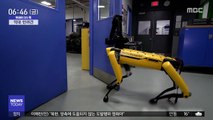[이슈톡] 로봇 반려견 '스폿' 약 9천만 원에 판매