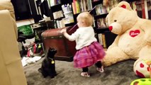 Bebes y gatos!  Video divertido